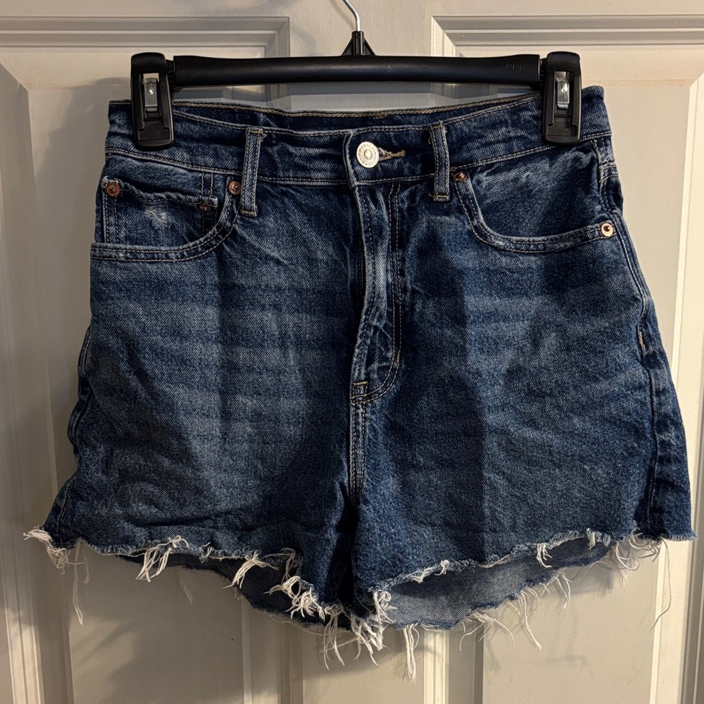 Size 2 Highest Waist '90s Boyfriend American Eagle Dark Wash Jean Shorts